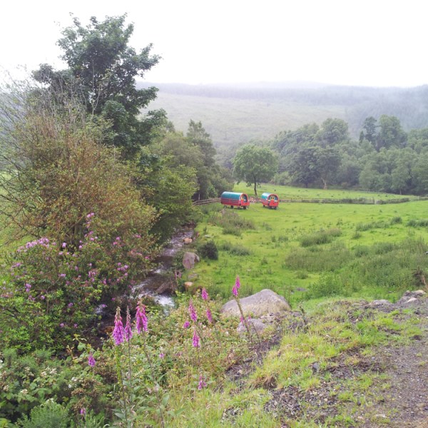 a large green field with trees in the background