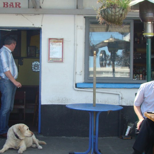 a person and a dog sitting on a chair